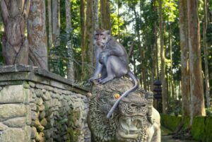 Bali Midori Coordinates a 6-Day Bali Group Journey for Paradise Travel from Greece
